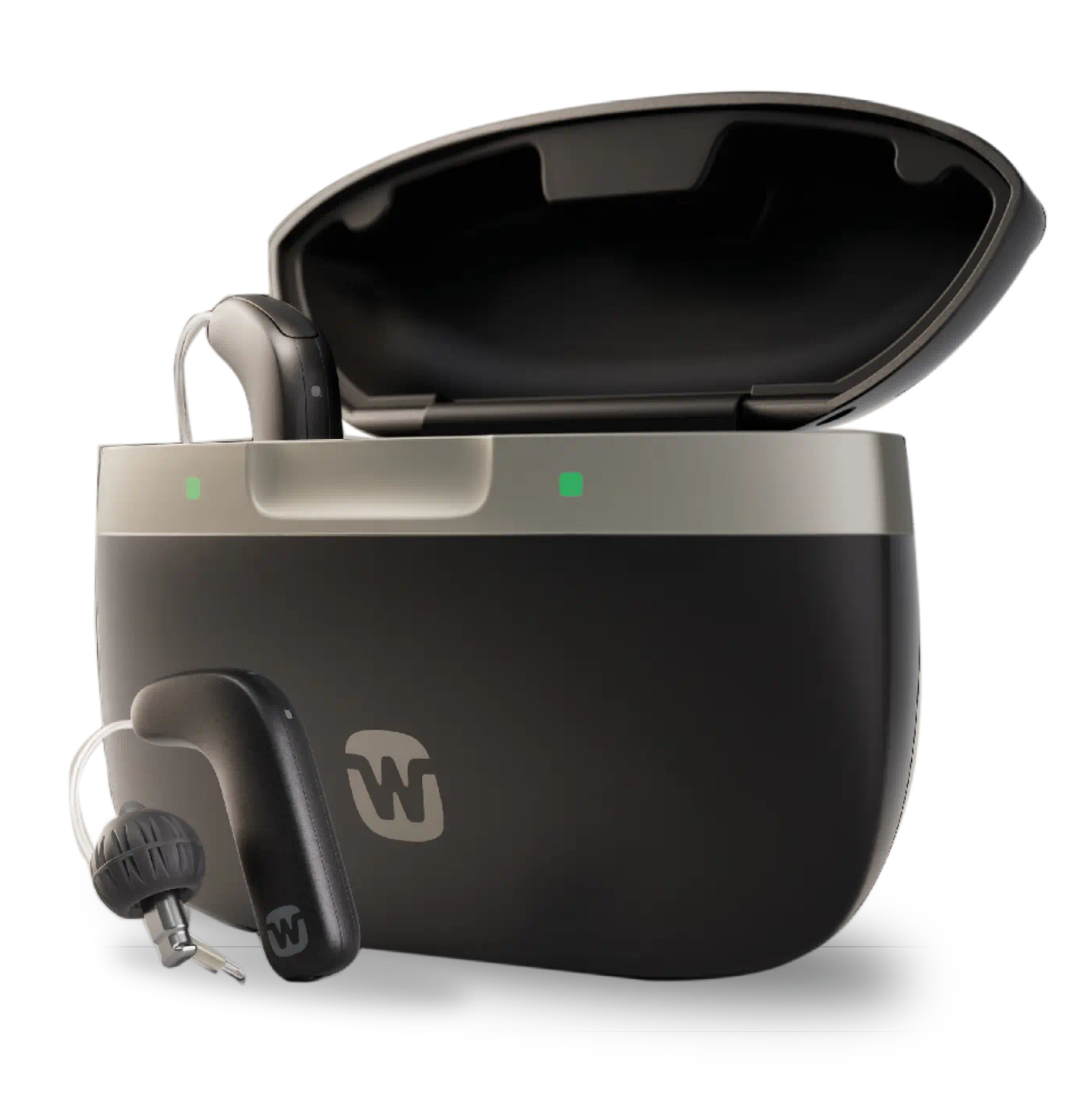Widex SmartRIC